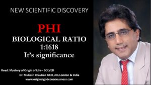 Phi Ratio : 1:1618