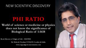 Phi Ratio - Science, medicine, physics, chemistry, biology or mathematics do not know Phi ratio's significance
