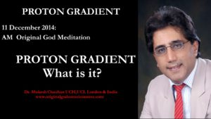 Proton gradient - what is it?