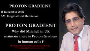 Why did Mitchell maintain about Proton Gradient in cells