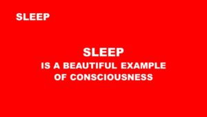 Sleep and Consciousness