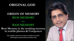 Rem memory is the working memory