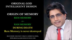 Memory & Death: Rem Memory never dies