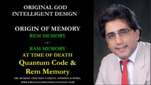 Quantum & Rem Memory