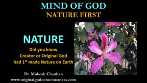 Mind of God - Nature was made first