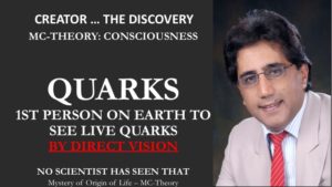 Quarks...what a beauty