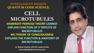 MC-Theory can explain microtubules mystery