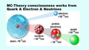 This is how MC-Theory consciousness works