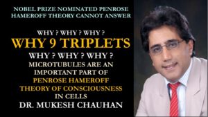 Why 9 Triplets microtubules - Answer this 