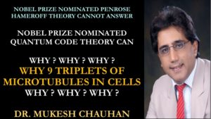 India Nobel Prize nominated theory can answer 