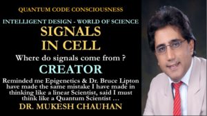 Quantum signals in cells 