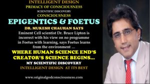 Epigenetics & Foetus 