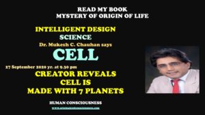 Cell -how is cell is made