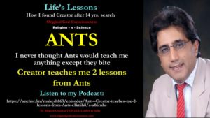 Ants teaches me 2 lessons 